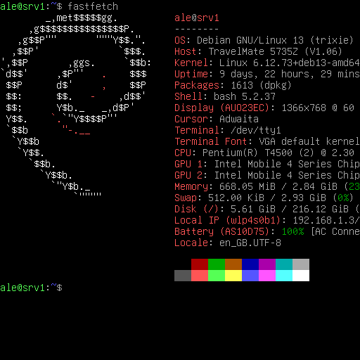 Screenshot of my Debian server's TTY running fastfetch